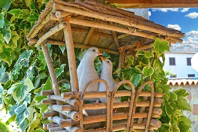 Vakantieappartement Gezinsvakantie Rovinj