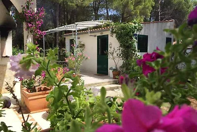 Studio mit Terrasse