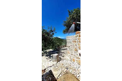 Ferienhaus mit Grill