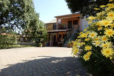 Ferienwohnung mit Garten und Grill zur gemein
