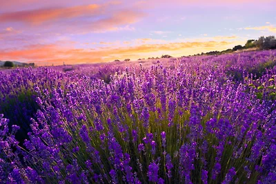 Apartament Dla rodzin Siofok