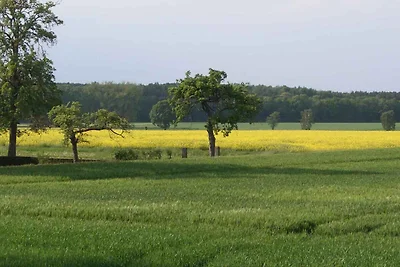 Vakantieappartement Gezinsvakantie 