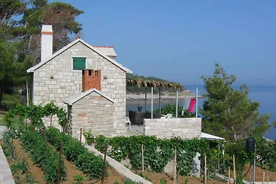 Ferienhaus mit Grill, am Meer