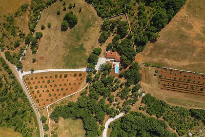 Villa mit Pool und grosszügigem Grundstück