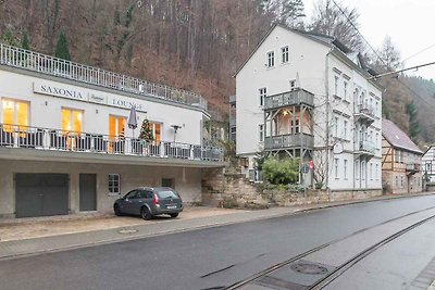 Vakantieappartement Gezinsvakantie Bad Schandau