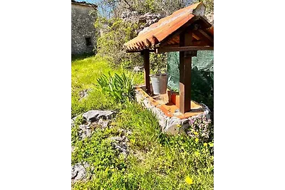 Ferienhaus Mit grossem Garten Und Klima