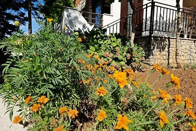 Vakantieappartement Gezinsvakantie Marceljani