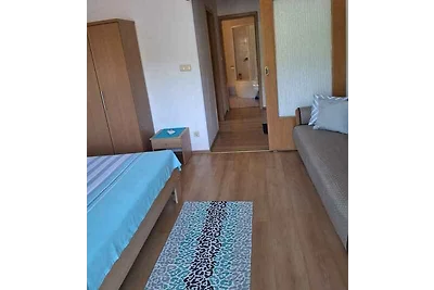 Appartamento Vacanza con famiglia Crikvenica
