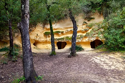 Appartement Vacances avec la famille Bibbona