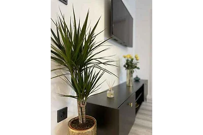 Ferienwohnung in der Nähe vom Wasser mit mode