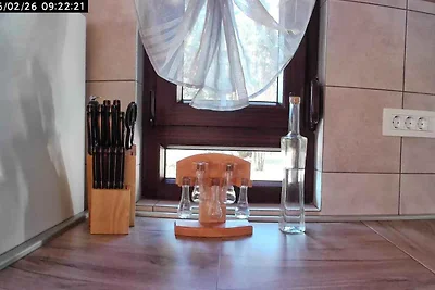 Ferienhaus mit Terrasse und grossen Garten