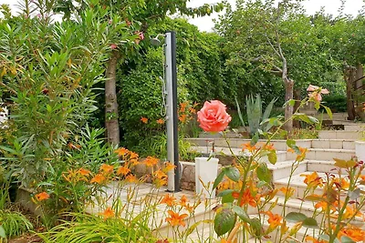 Gemütliche Ferienwohnung Devcic mit Terrasse 