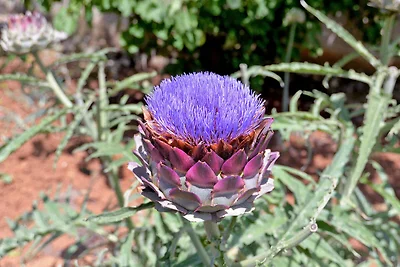 Ferienwohnung mit Klimaanlage