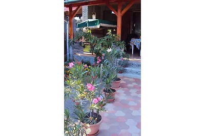 Ferienhaus mit Color-SAT-TV und Mikrowelle