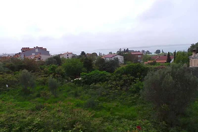 Ferienwohnung mit Blick auf den Nationalpark