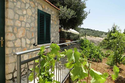 Ferienwohnung im Herzen von Dolac