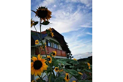 Casa vacanze Vacanza di relax Slovenia