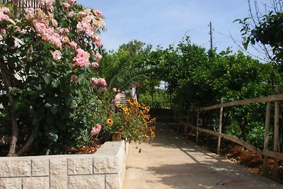 Apartamento Vacaciones familiares Molunat