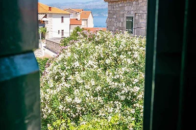 Ferienwohnung mit Klimaanlage und Terrasse