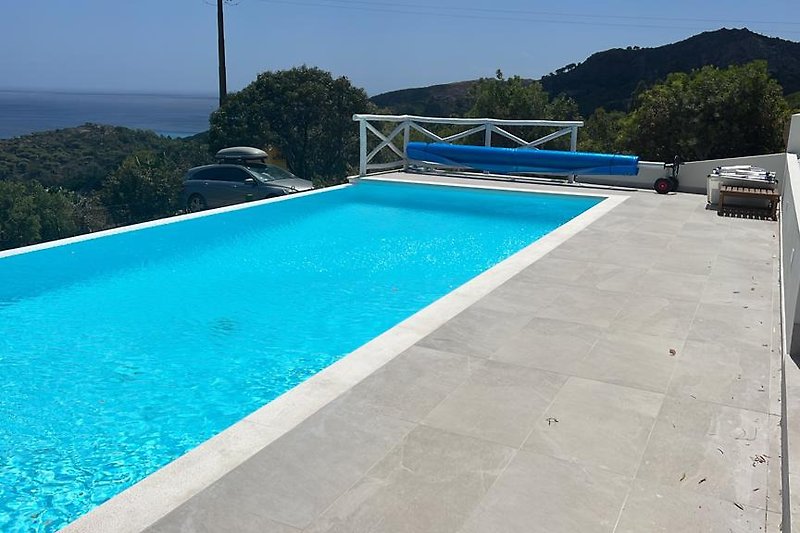 Schwimmbad mit blauem Wasser, umgeben von Pflanzen und moderner Architektur.
