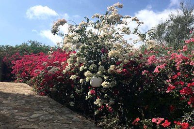 Villa Maria Francesca - ligging aan het strand