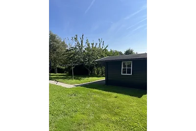 Zon Zee & Zo