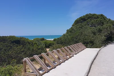 STRAND SURFEN GOLFEN TENNIS REITEN