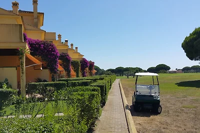 STRAND SURFEN GOLFEN TENNIS REITEN