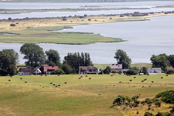 Ferienwohnung Hiddensee