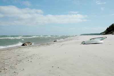 Feriendorf am Strand von Nonnevitz