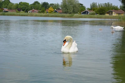 Glücksanker Ferienhaus am See