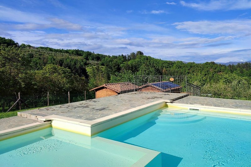 Pool und Haus am Meer mit tropischer Landschaft.