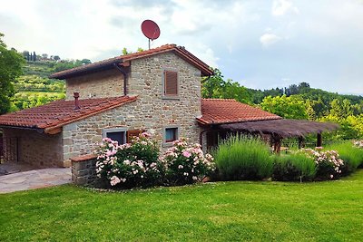 PODERE VERDI COLLINE