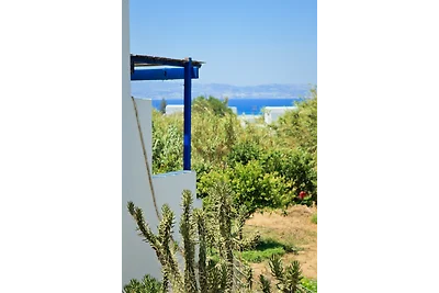 Studi della collina di Agia Anna