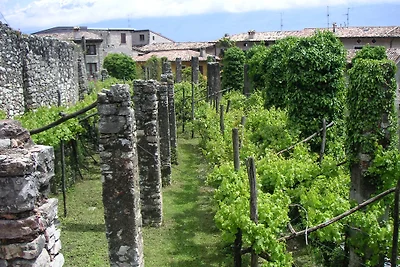 Traumhaus, histor.Limonaia+Vineyard