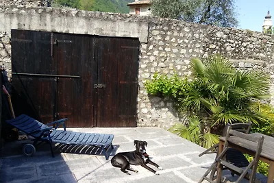 Traumhaus, histor.Limonaia+Vineyard