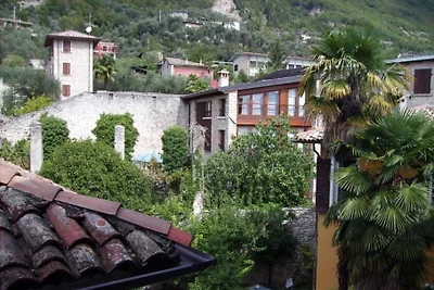 Traumhaus, histor.Limonaia+Vineyard