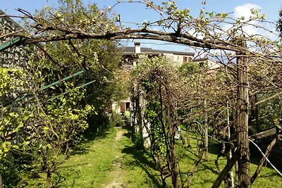 Traumhaus, histor.Limonaia+Vineyard