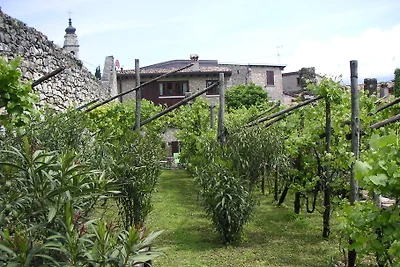 Traumhaus, histor.Limonaia+Vineyard