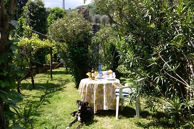 Traumhaus, histor.Limonaia+Vineyard