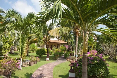 Villaggio delle tartarughe