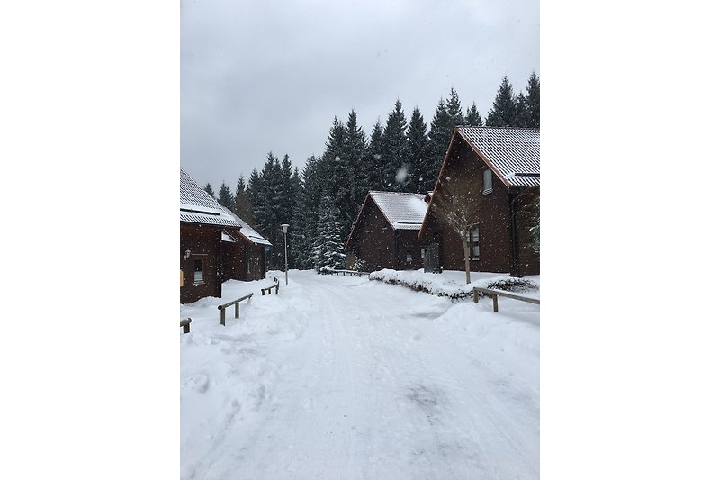 Holiday park in winter