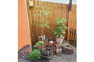 Casa Venti