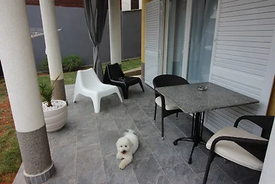 Villa Ambiente
