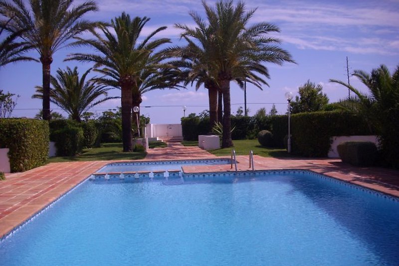 Pool im mediteranen Garten mit vielen Palmen und der Pforte zum Strand