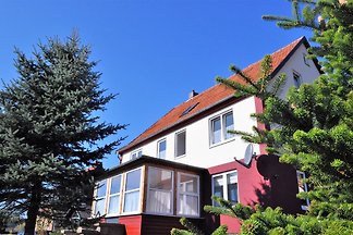 Ferienhaus Feuerstein in Elend Harz