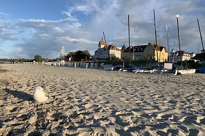 Hanne-Hus