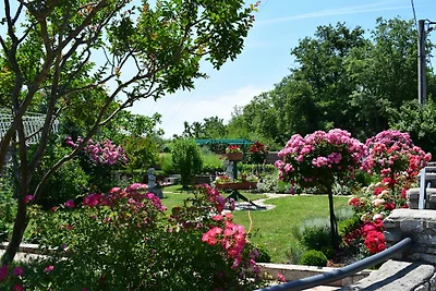 Apartement Vinez eine grüne Gartenoase