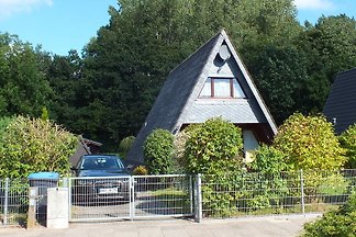Ferienhaus in Damp