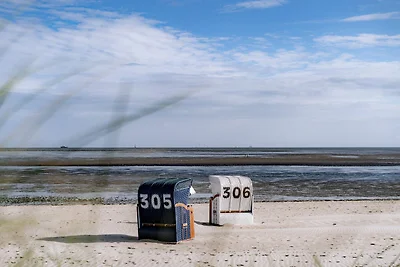 Sonnenseite (49.3.S)